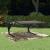 Copertină pentru robot de tuns iarba, negru, 77 x 103 x 46 cm GartenMobel Dekor