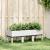 Jardinieră de grădină cu picioare, alb, 120x40x42 cm, PP GartenMobel Dekor