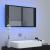 Dulap baie cu oglindă & LED negru extralucios 80x12x45 cm acril GartenMobel Dekor
