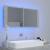 Dulap de baie cu oglindă & LED, gri beton, 100x12x45 cm acril GartenMobel Dekor