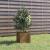 Jardinieră de grădină, maro miere, 31x31x31 cm, lemn pin GartenMobel Dekor