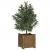 Jardinieră de grădină, maro miere, 31x31x31 cm, lemn pin GartenMobel Dekor