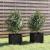 Jardiniere grădină, 2 buc., negru, 31x31x31 cm, lemn masiv pin GartenMobel Dekor
