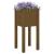 Jardinieră de grădină, maro miere, 31x31x70 cm, lemn masiv pin GartenMobel Dekor