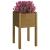 Jardiniere grădină 2 buc. maro miere 40x40x70 cm lemn masiv pin GartenMobel Dekor