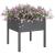 Jardiniere de grădină, 2 buc., gri, 70x70x70 cm, lemn masiv pin GartenMobel Dekor