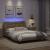 Cadru de pat lumini LED, cappuccino, 140x200 cm piele ecologică GartenMobel Dekor