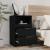 Noptiere, 2 buc., negru, lemn prelucrat GartenMobel Dekor