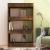 Bibliotecă/Separator cameră, stejar fumuriu, 60x30x103 cm PAL   GartenMobel Dekor