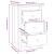 Noptiere, 2 buc, maro miere, 40x35x61,5 cm, lemn masiv de pin GartenMobel Dekor