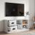 Comodă TV, alb, 102x35,5x47,5 cm, lemn prelucrat GartenMobel Dekor