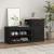 Pantofar, negru, 100x42x60 cm, lemn prelucrat GartenMobel Dekor
