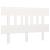 Tăblie de pat, alb, 123,5x3x81 cm, lemn masiv de pin GartenMobel Dekor