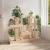 Suport pentru plante, 104,5x25x77,5 cm, lemn masiv de pin GartenMobel Dekor