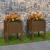 Jardiniere, 2 buc., maro miere, 40x40x52,5cm, lemn masiv de pin GartenMobel Dekor