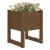 Jardiniere, 2 buc., maro miere, 40x40x52,5cm, lemn masiv de pin GartenMobel Dekor