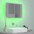 Dulap cu oglindă & LED gri sonoma 60x12x45 cm lemn compozit GartenMobel Dekor