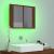 Dulap cu oglindă & LED stejar maro 60x12x45 cm lemn compozit GartenMobel Dekor