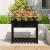 Jardinieră cu raft, negru, 82,5x54x81 cm, lemn masiv de pin GartenMobel Dekor