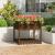 Jardinieră cu raft, maro miere, 82,5x82,5x81 cm, lemn masiv pin GartenMobel Dekor