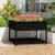 Jardinieră cu raft, negru, 111,5x111,5x81 cm, lemn masiv de pin GartenMobel Dekor