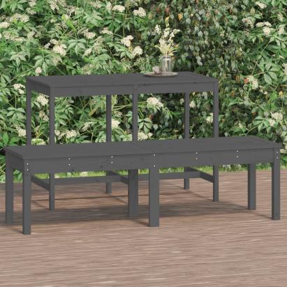 Bancă grădină 2 locuri, gri, 159,5x44x45 cm, lemn masiv de pin GartenMobel Dekor