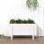 Strat înălțat de grădină, alb, 101x50x57 cm, lemn masiv de pin GartenMobel Dekor