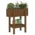 Jardinieră de grădină, maro miere, 62x30x69 cm, lemn masiv pin  GartenMobel Dekor