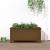 Jardinieră de grădină, maro miere, 82,5x40x39 cm lemn masiv pin GartenMobel Dekor