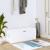 Pantofar de perete, alb, 100x35x38 cm, lemn compozit GartenMobel Dekor