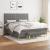 Pat box spring cu saltea, gri închis, 180x200 cm, textil GartenMobel Dekor