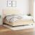 Pat continental cu saltea, crem, 180x200 cm, textil GartenMobel Dekor