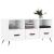 Dulap TV, alb, 102x36x50 cm, lemn prelucrat GartenMobel Dekor
