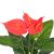 Plantă artificială Anthurium cu ghiveci, 45 cm, roșu și galben GartenMobel Dekor