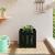 Jardinieră grădină design gard negru 40x40x40 cm lemn masiv pin GartenMobel Dekor