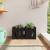 Jardinieră grădină design gard negru 60x30x30 cm lemn masiv pin GartenMobel Dekor