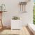 Jardinieră de grădină, 31x31x31 cm, alb lemn masiv de pin GartenMobel Dekor