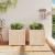 Jardiniere de grădină, 2 buc., lemn masiv de pin GartenMobel Dekor