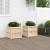 Jardiniere de grădină, 2 buc., lemn masiv de pin GartenMobel Dekor