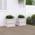 Jardiniere de grădină, 2 buc., alb, lemn masiv de pin GartenMobel Dekor