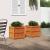 Jardiniere de grădină, 2 buc., maro ceruit, lemn masiv de pin GartenMobel Dekor
