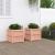 Jardiniere de grădină, 2 buc., lemn masiv douglas GartenMobel Dekor