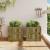Jardiniere de gradina , 2 buc., lemn de pin impregnat GartenMobel Dekor