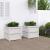 Jardiniere de grădină, 2 buc., alb, lemn masiv de pin GartenMobel Dekor