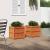 Jardiniere de grădină, 2 buc., maro ceruit, lemn masiv de pin GartenMobel Dekor