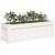 Jardinieră de grădină, alb, 90x31x31 cm, lemn masiv de pin GartenMobel Dekor