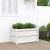 Jardinieră de grădină, alb, 90x50x50 cm, lemn masiv de pin GartenMobel Dekor