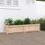 Jardinieră de grădină, 150x31x31 cm, lemn masiv de pin GartenMobel Dekor