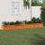Jardiniere de grădină, 2 buc., maro ceruit, lemn masiv de pin GartenMobel Dekor