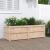 Jardinieră de grădină, 150x50x50 cm, lemn masiv de pin GartenMobel Dekor